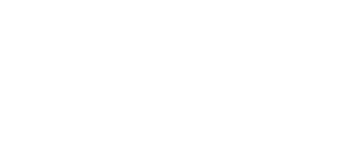 PSE Consult